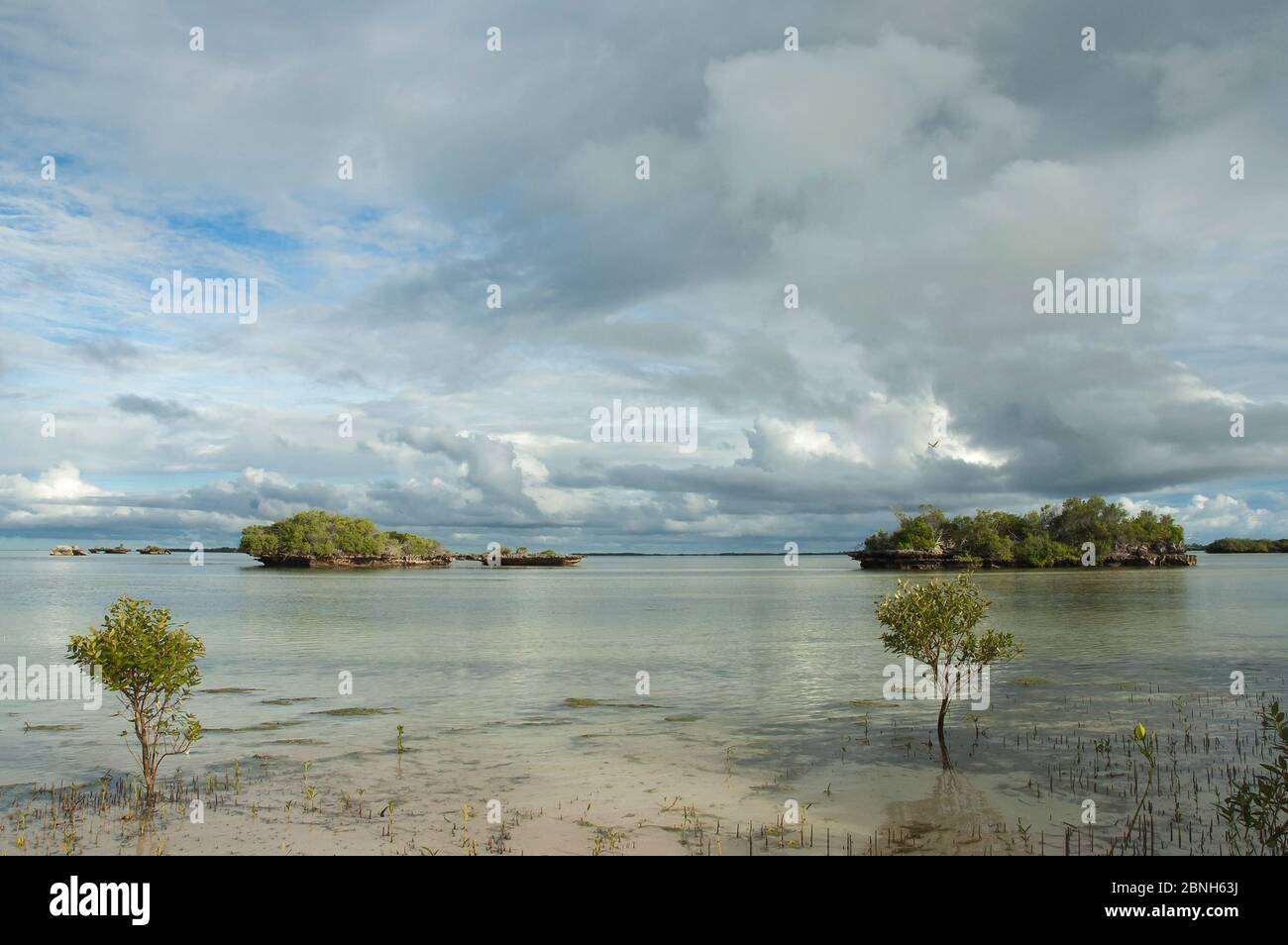 Le lagon d'Aldabra avec «champignons de corail et des mangroves à marée basse, Site du patrimoine mondial naturel d'Aldabra, 2006 Banque D'Images