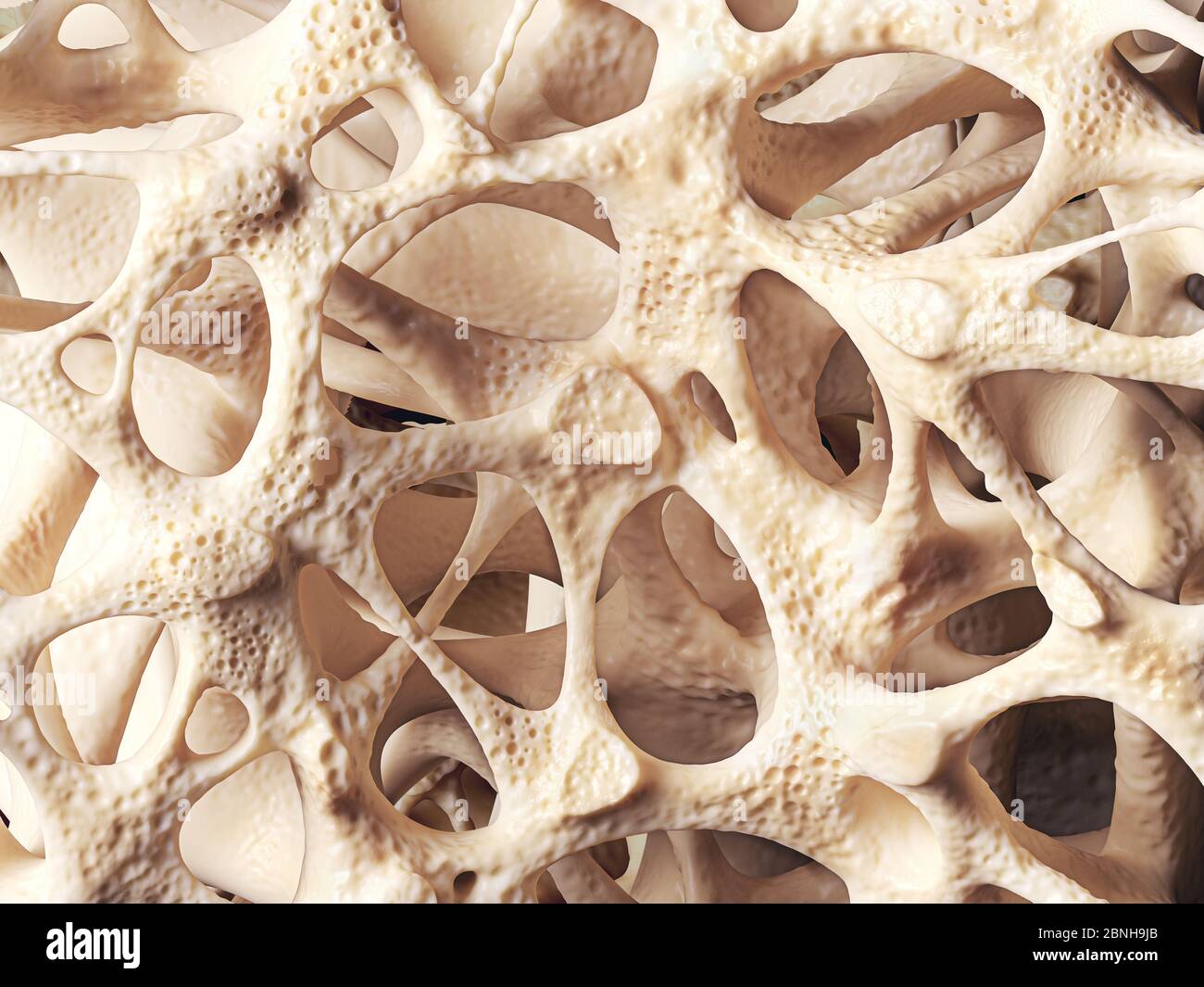 Structure spongieuse osseuse réaliste, texture osseuse affectée par l'ostéoporose, illustration 3d Banque D'Images