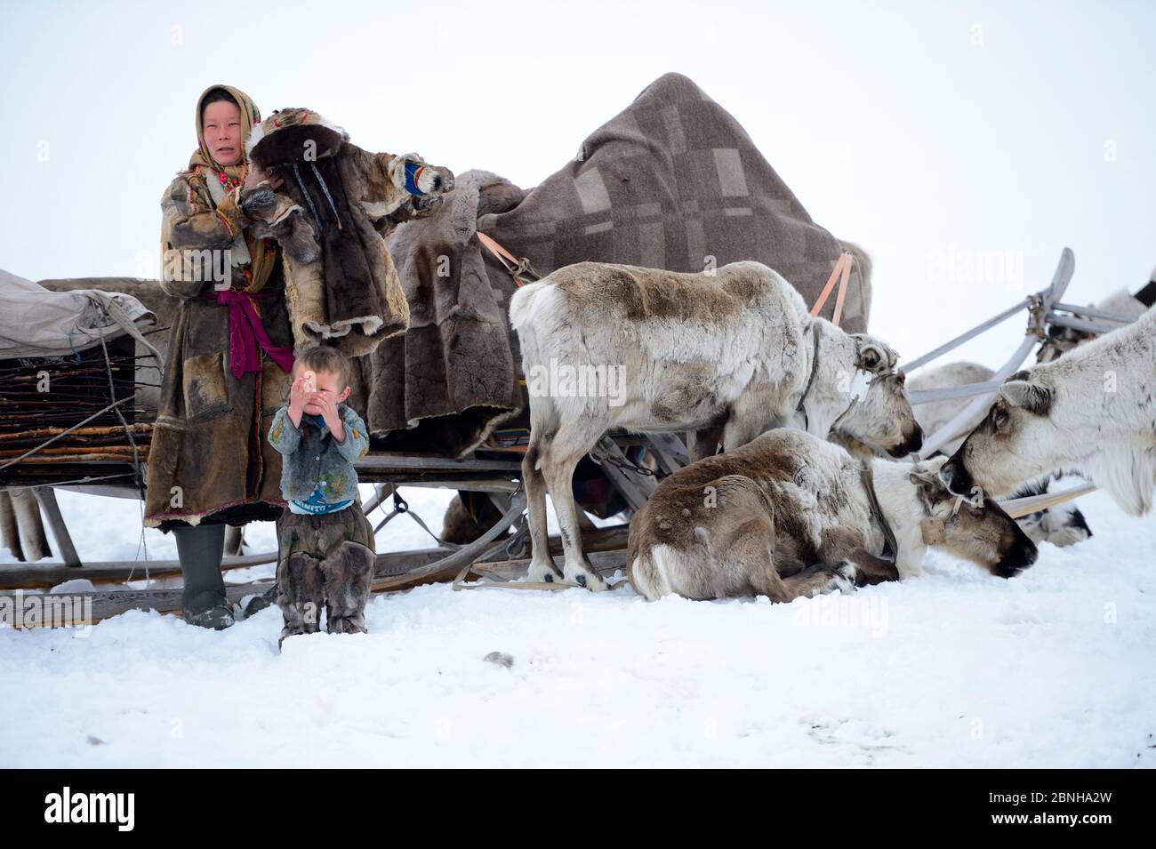 Nenet femme se préparant pour la migration printanière se vêtir elle-même et son fils en bottes d'hiver traditionnelles et manteau fait avec la peau de renne. La température Banque D'Images