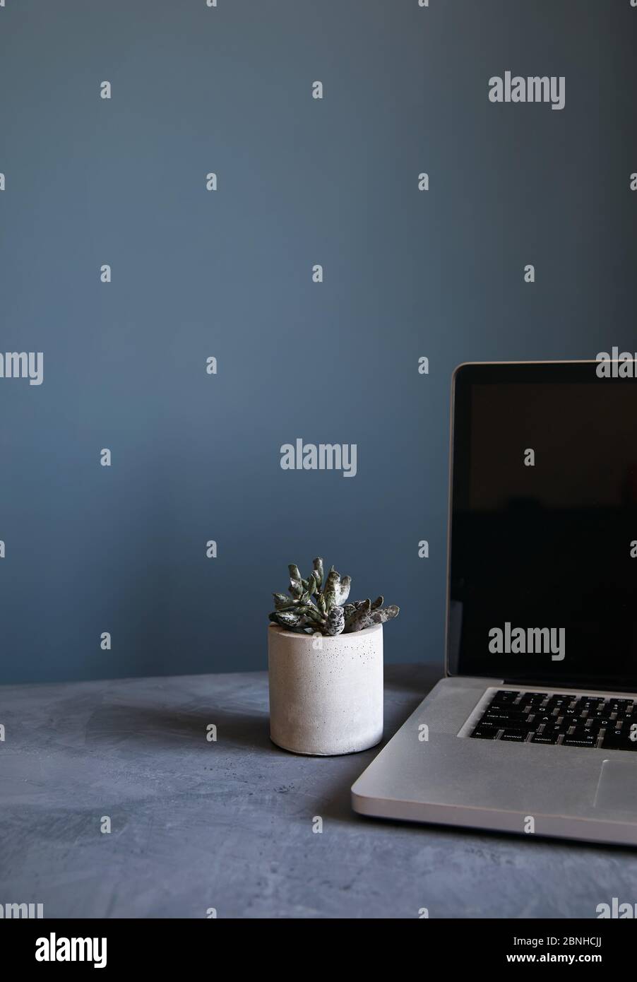 Espace de travail vide avec ordinateur portable et plante sur fond de mur gris pierre. Concept de travail à domicile. Banque D'Images