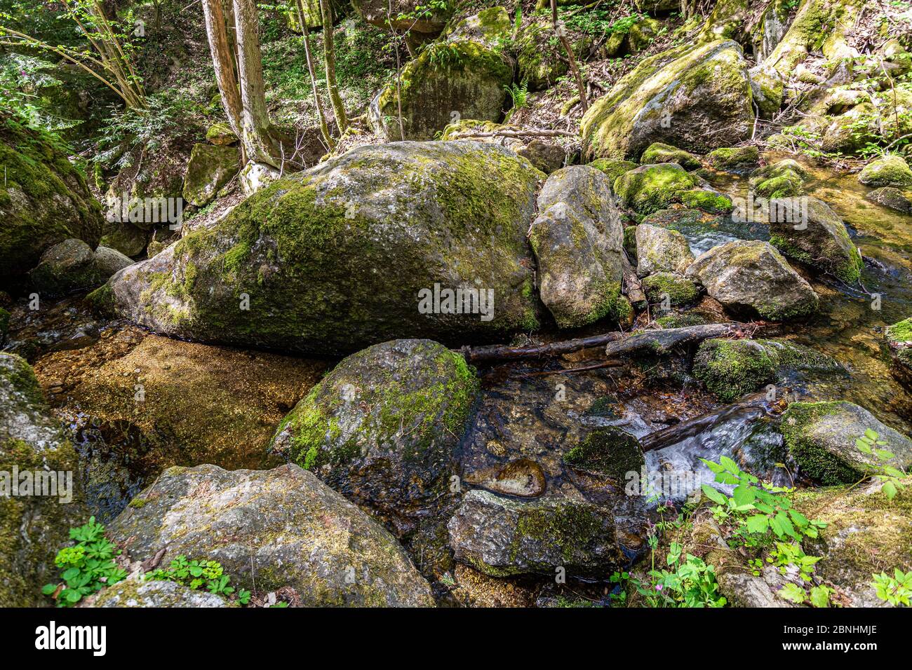 Parc national Ysperklamm en Basse-Autriche, Waldviertel Banque D'Images