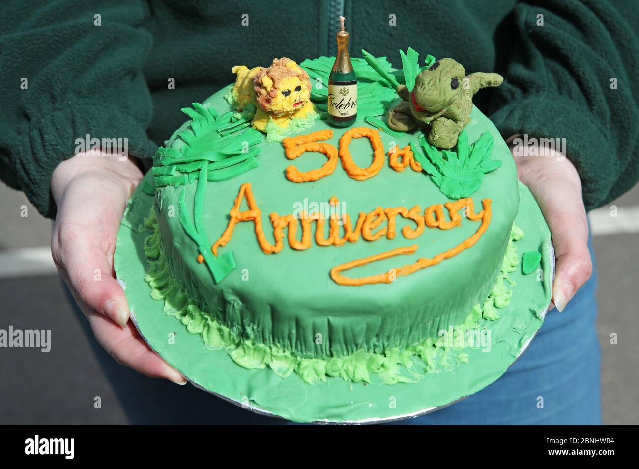 Un Gardien Tient Un Gateau Du 50e Anniversaire Au Parc Safari Blair Drummond De Stirling Alors Que Le Parc Celebre Son 50e Anniversaire Photo Stock Alamy Un Gardien Tient Un Gateau Du 50e Anniversaire Au Parc Safari Blair Drummond De Stirling Alors Que Le Parc Celebre Son 50e Anniversaire Photo Stock Alamy