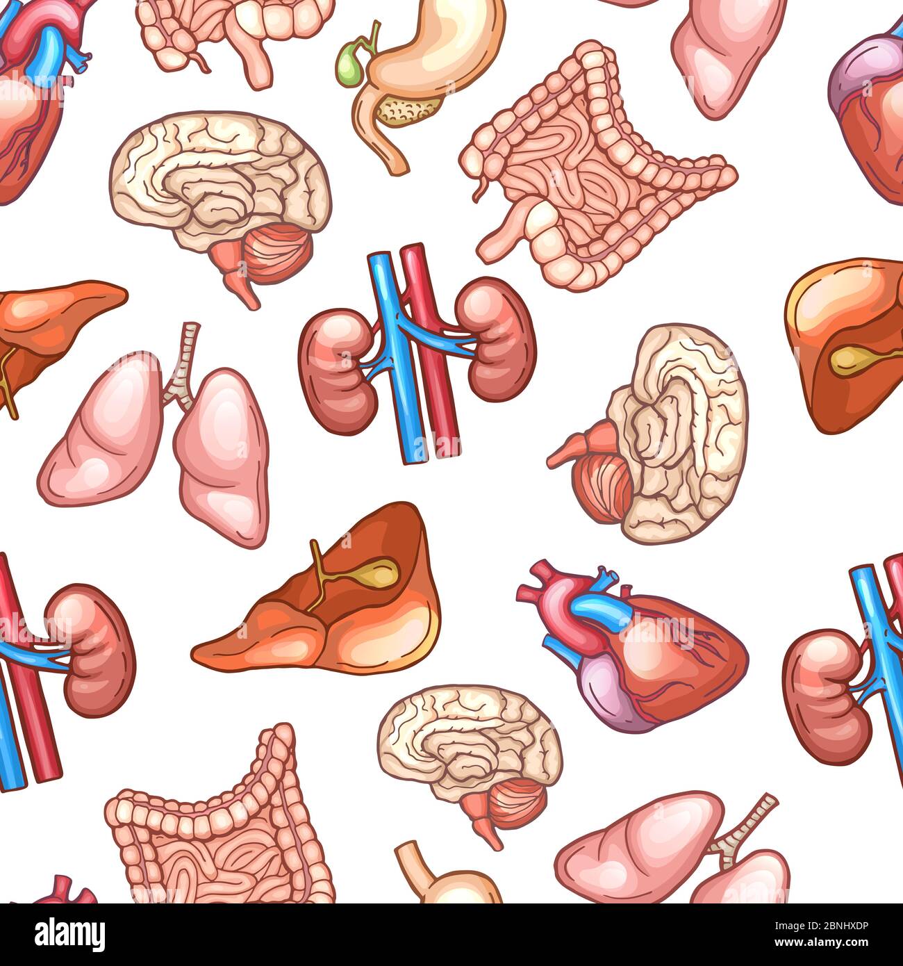 Motif sans couture avec différents organes humains Illustration de Vecteur
