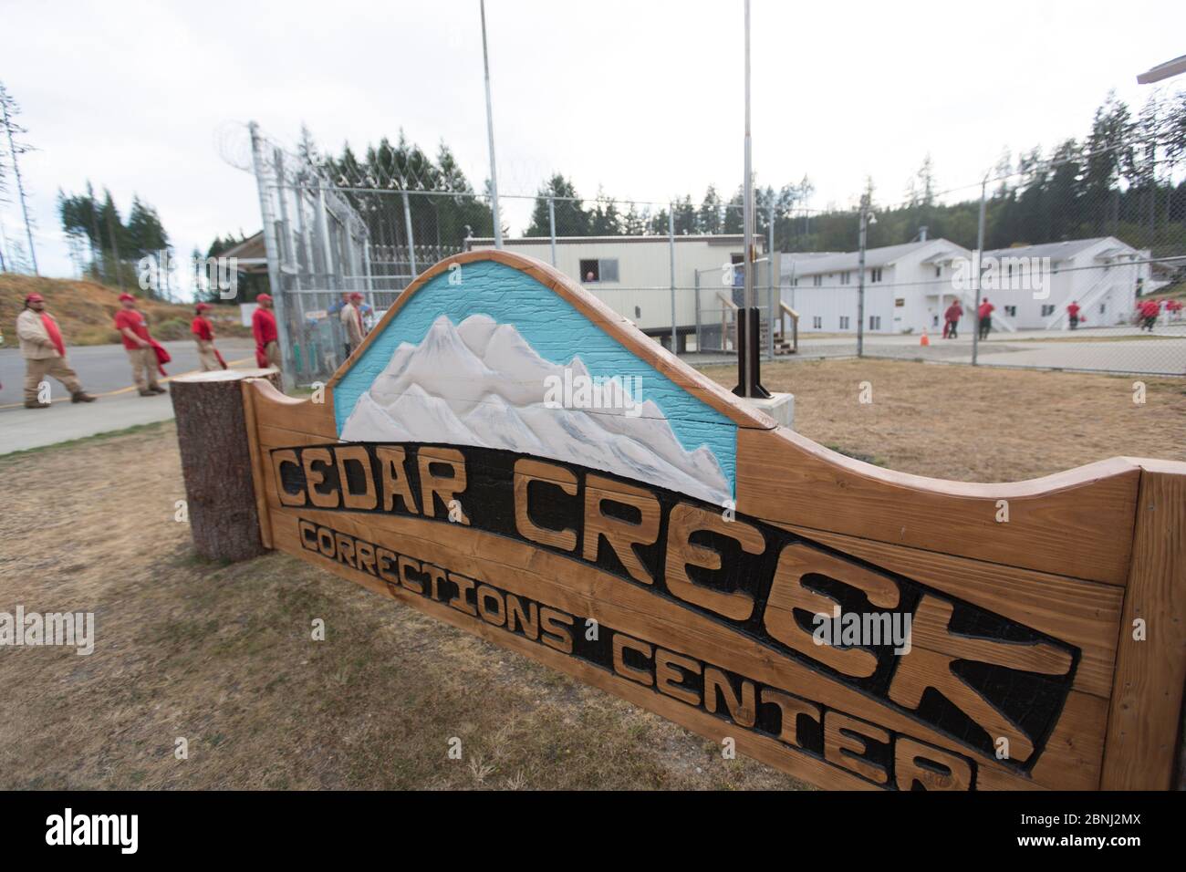 Cedar Creek correction Centre, qui fait partie des projets de durabilité dans les prisons, qui élèvent des espèces en voie de disparition comme la grenouille maculée de l'Oregon (Rana Banque D'Images