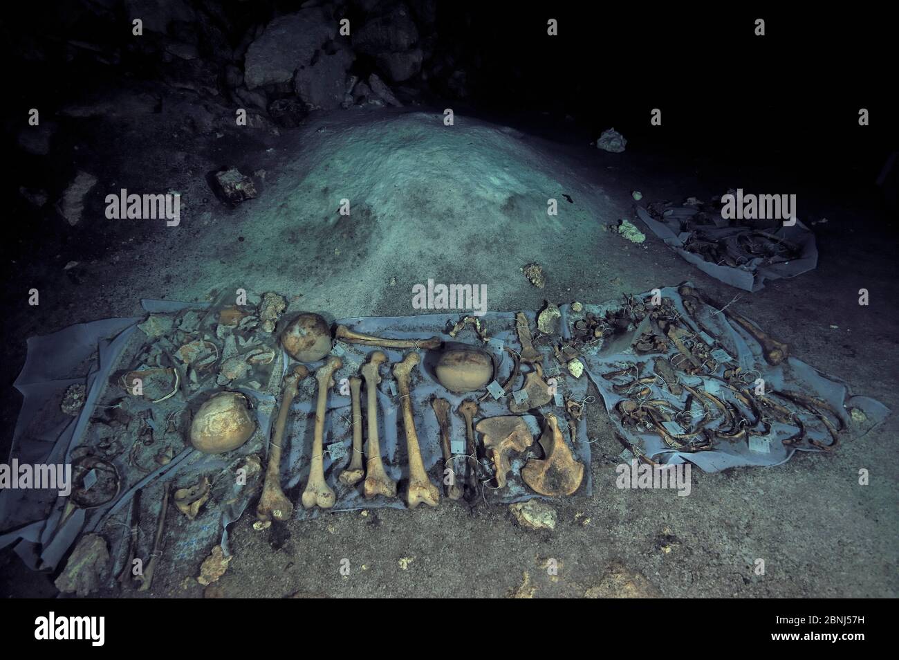 Crânes et os humains et animaux mayas, peut-être le résultat du sacrifice humain aux dieux que la culture maya a fait et ensuite jeté dans le cenote, pré-Hispa Banque D'Images