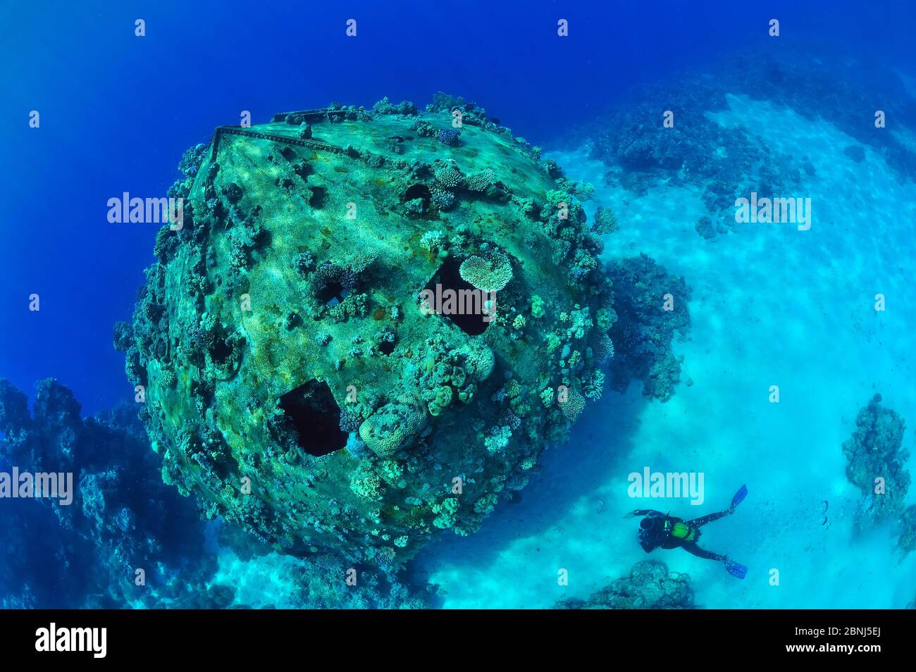 Plongeur près des vestiges du précontinent 2 à Shaab Rumi, village sous-marin expérimental construit par Jacques-Yves Cousteau et l'équipe Calypso en 1963 Banque D'Images