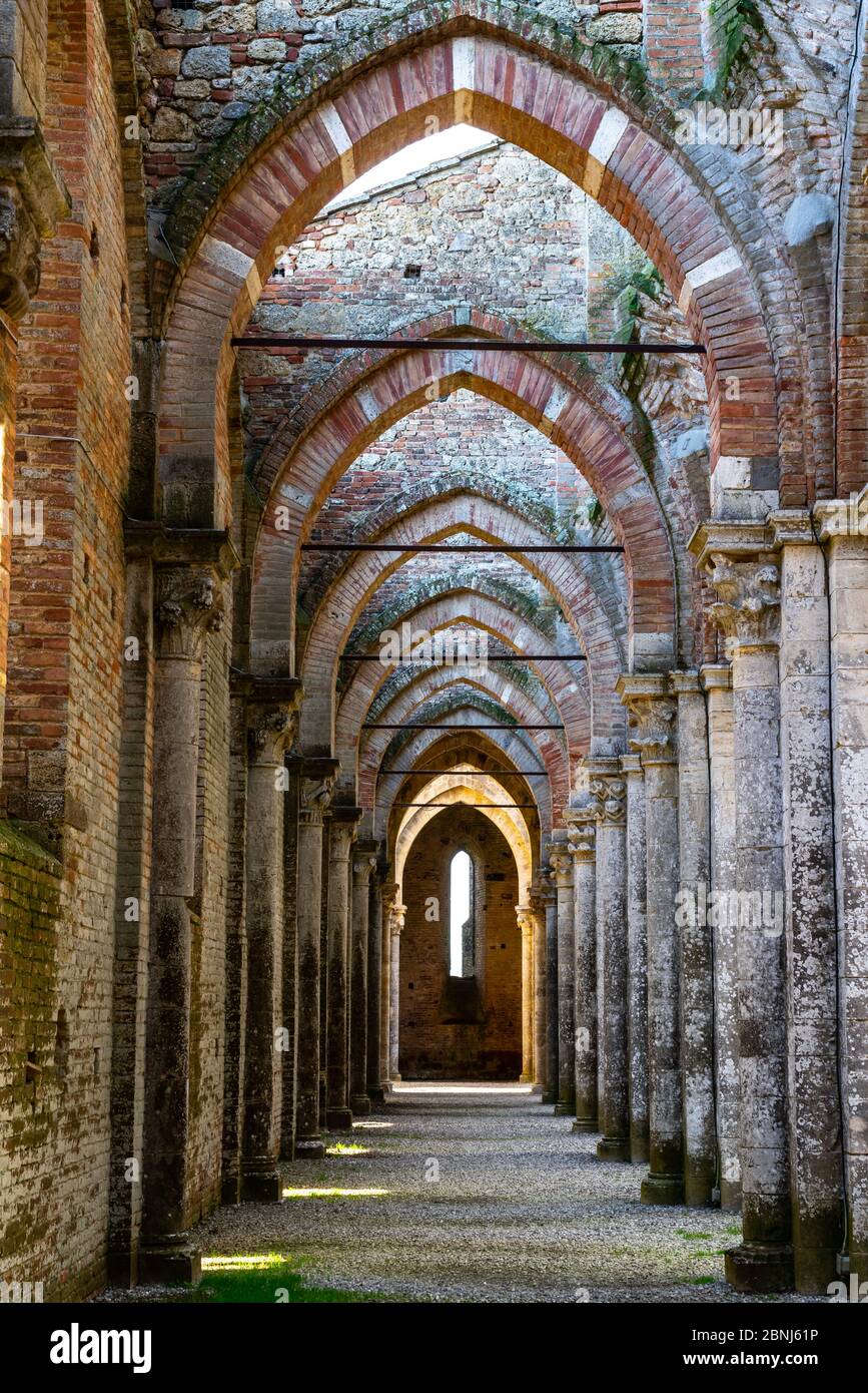 Colonnade dans l'abbaye cistercienne gothique sans toit du XIIIe siècle de San Galzano, Chiusdino, Toscane, Italie, Europe Banque D'Images