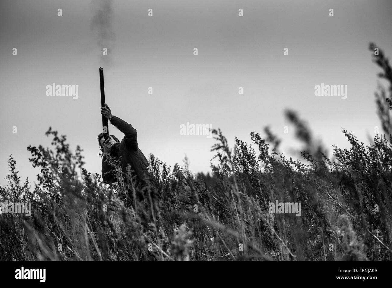 Image en noir et blanc d'un tir d'arme à feu sur un faisan volant au-dessus, Royaume-Uni, Europe Banque D'Images