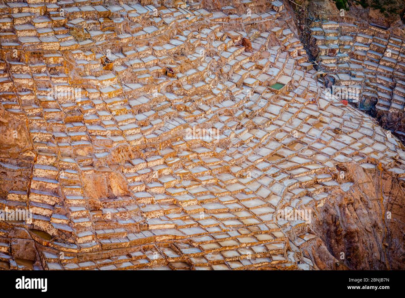 Mines de sel, Maras, Vallée Sacrée, Pérou, Amérique du Sud Banque D'Images