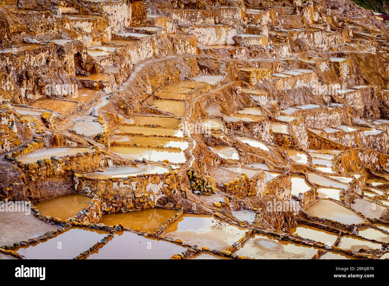 Mines de sel, Maras, Vallée Sacrée, Pérou, Amérique du Sud Banque D'Images
