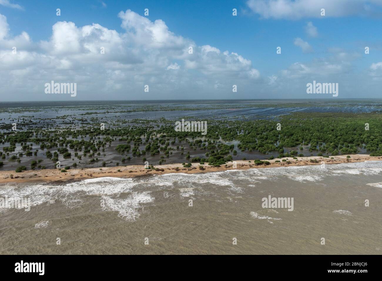 Vue aérienne de la plage de Shell Beach, au nord, d'Amérique du Sud Guyana Banque D'Images