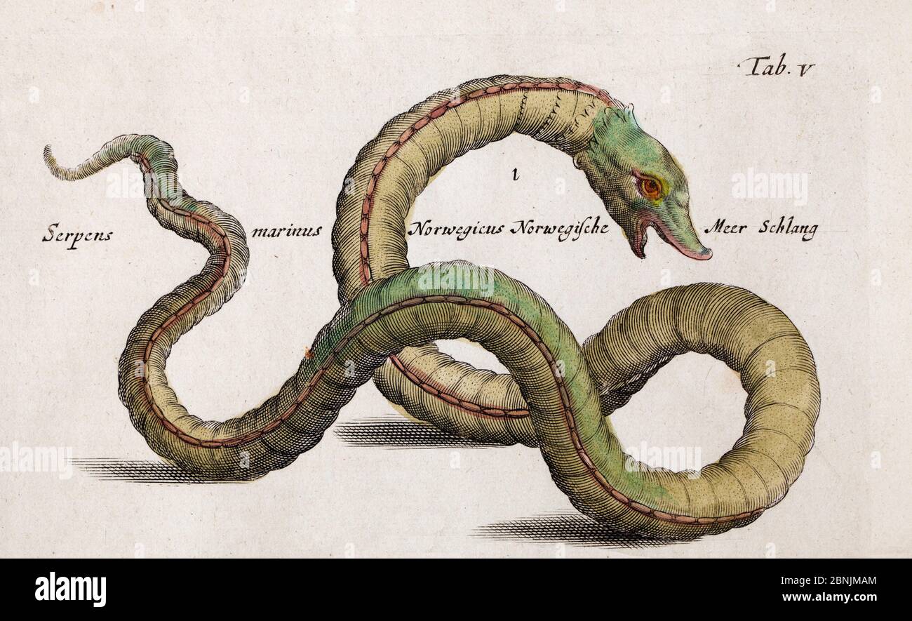 Serpent De Mer Banque D Image Et Photos Alamy