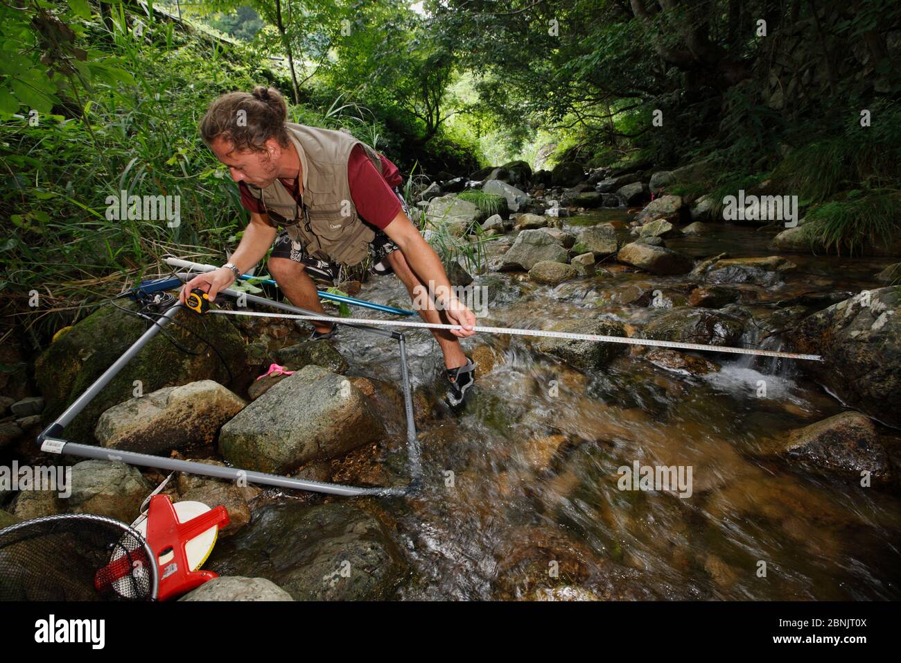 Bill Sutton, biologiste de la salamandre géante japonaise (Andrias japonicus), étudie l'habitat de la salamandre dans les cours d'eau. Honshu, Japon, août 2010. Banque D'Images