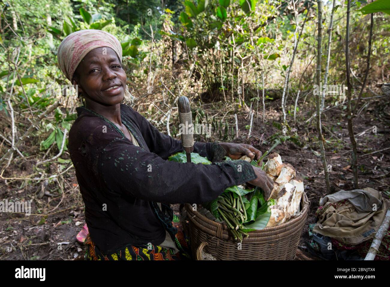 L'ONG m'boumontour soutient différents types de projets de conservation au sein de la communauté dans le but de protéger les populations locales de Bonobo (Pan paniscu Banque D'Images