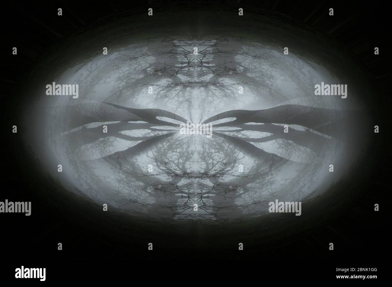 Une forêt effrayante sur une journée d'hiver brumeux. Avec un cauchemar abstrait, hallucinogène comme le montage. Banque D'Images