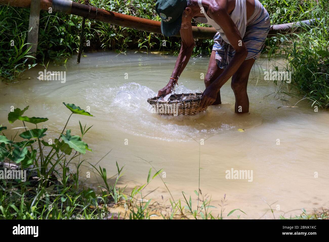 Homme en train de chercher des minéraux au Sri Lanka en utilisant un panier en osier tissé travaillant un dépôt secondaire dans un ruisseau avec une ligne de pipe derrière lui dans le tropical Banque D'Images