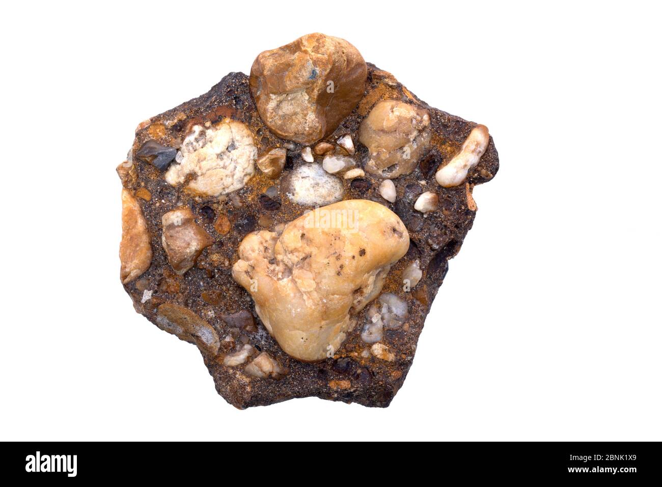 Conglomérat de Delaware Bay, Delaware. Les clastes cimentés par l'ironstone (oxyde de fer), formés au sommet de la nappe phréatique Banque D'Images