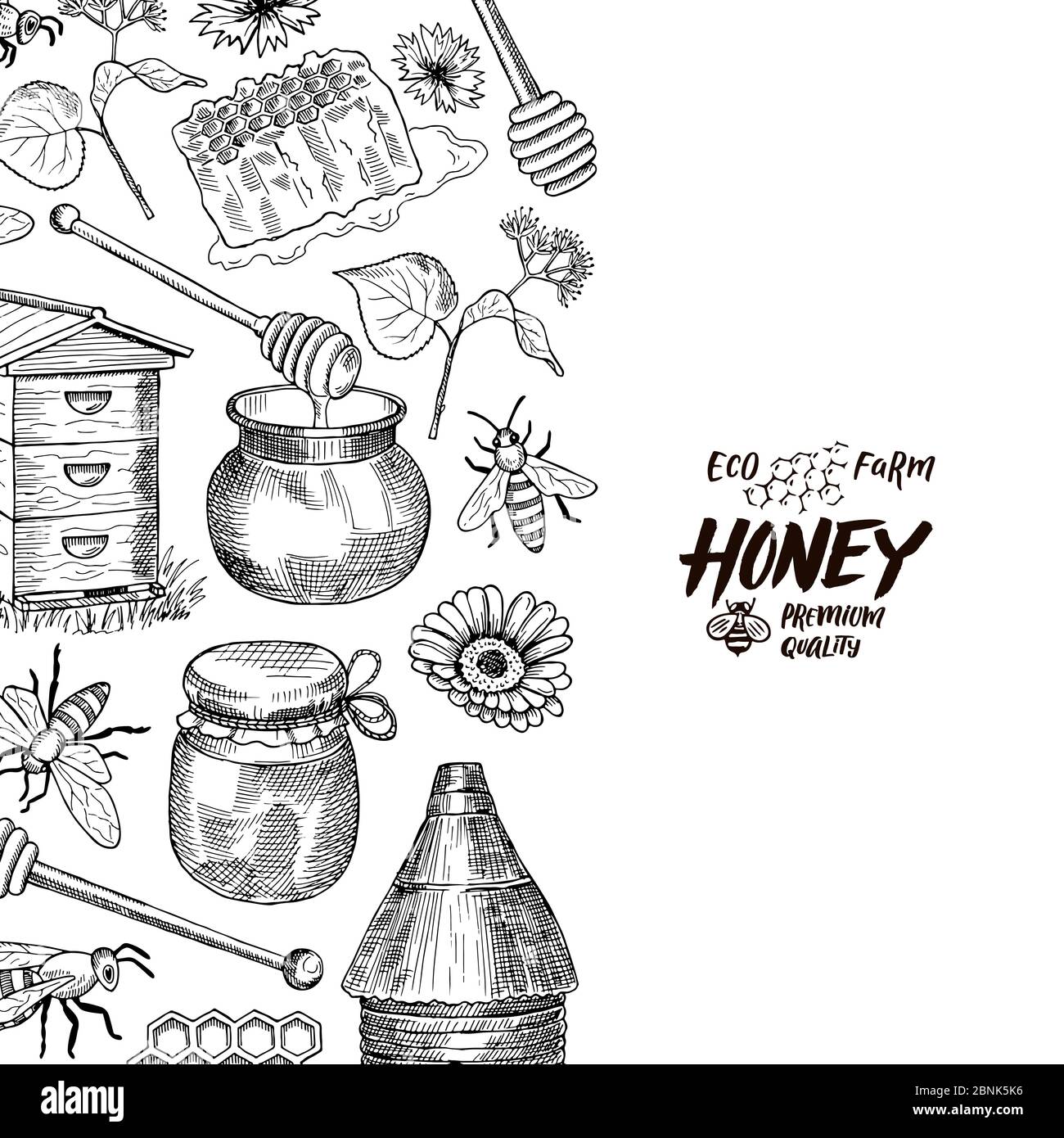 Arrière-plan vectoriel avec éléments de miel esquissés avec place pour le texte Illustration de Vecteur