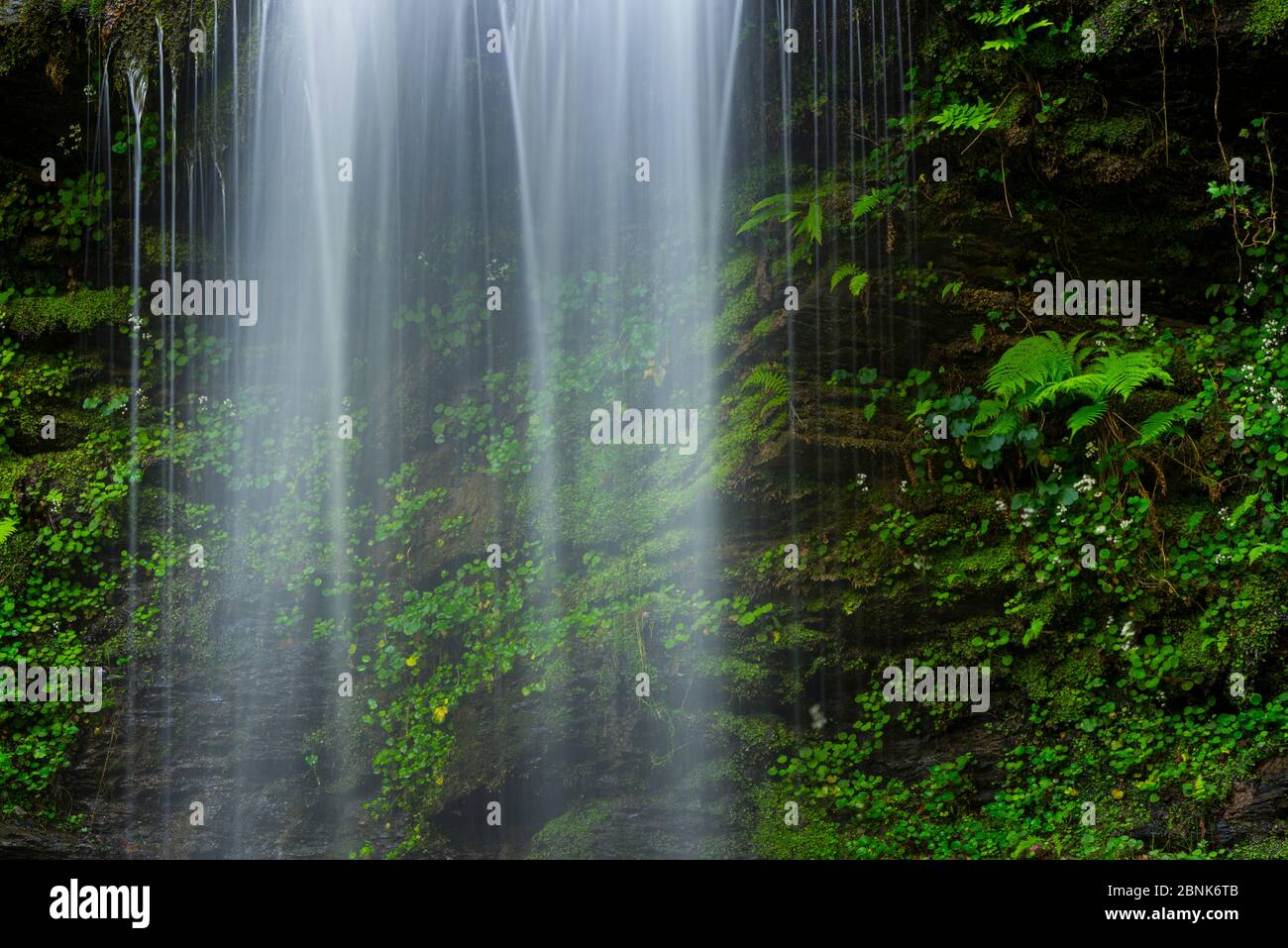 Cascade de Lamina, Lamina, Parc naturel de Saja Besaya, Cantabrie, Espagne, Europe. Mai 2015. Banque D'Images