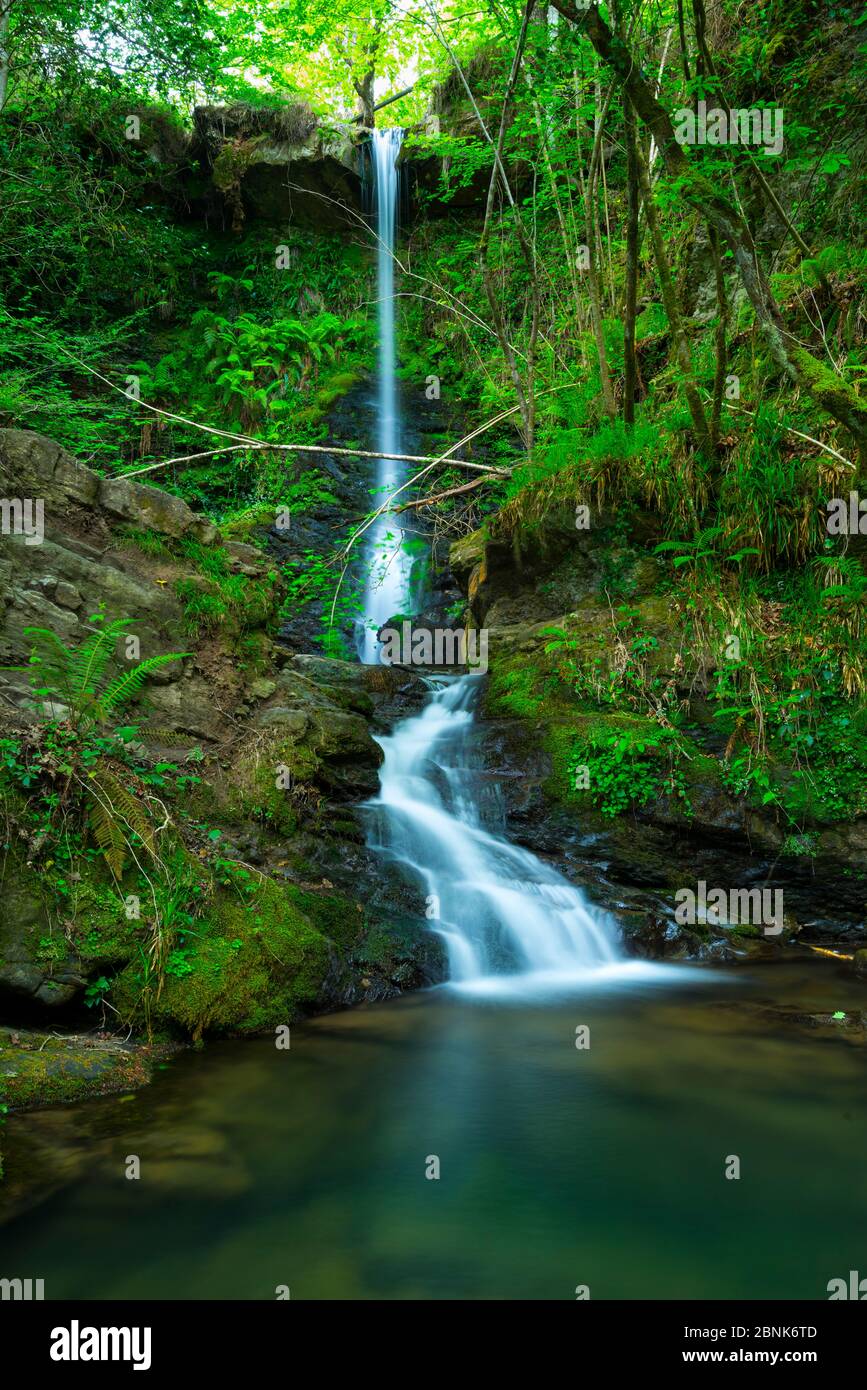 Cascades de Lamina, Lamina, Parc naturel de Saja Besaya, Cantabrie, Espagne, Europe. Mai 2015. Banque D'Images