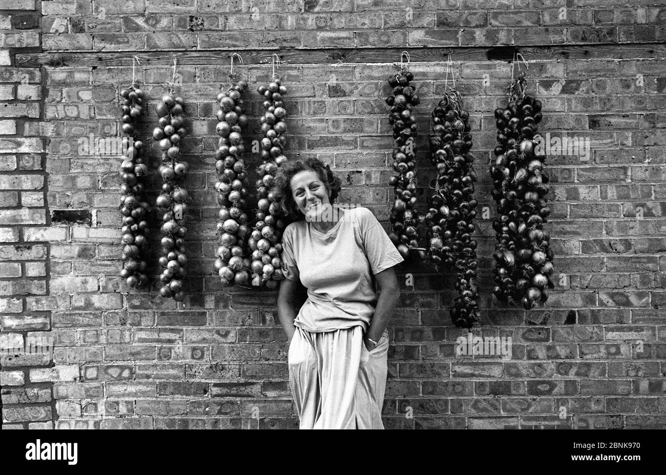 Germaine Greer, écrivain australienne photographiée chez elle près de Cambridge, Angleterre 1992 Germaine Greer: (Née le 29 janvier 1939) est une écrivain et intellectuelle australienne, considérée comme l'une des principales voix du mouvement féministe de la deuxième vague de la seconde moitié du XXe siècle. Spécialisée en littérature anglaise et féminine, elle a occupé des postes universitaires en Angleterre à l'Université de Warwick et au Newnham College de Cambridge, et aux États-Unis à l'Université de Tulsa. Basée au Royaume-Uni depuis 1964, elle a divisé son temps depuis les années 1990 entre Queensland, Australi Banque D'Images