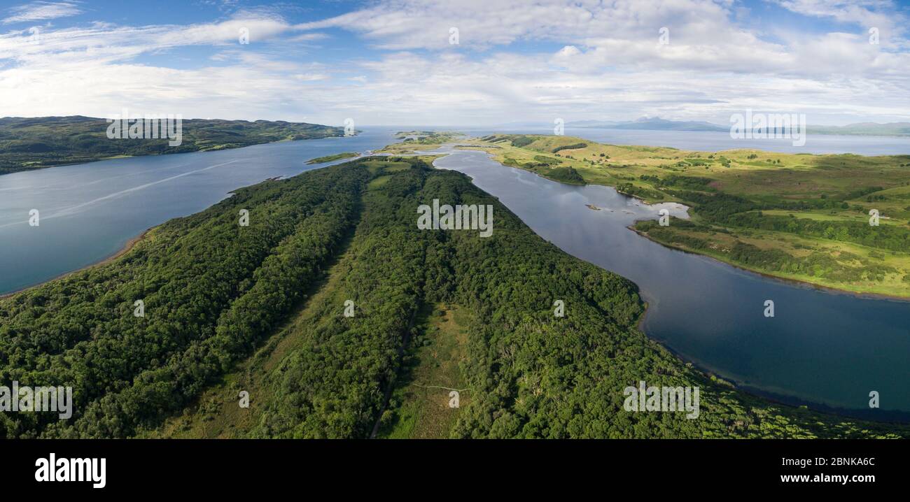 Vue aérienne depuis Barr Mor, Réserve naturelle nationale Taynish surplombant Linne Mhuirich et les paps du Jura, Argyll et Bute, Écosse, Banque D'Images
