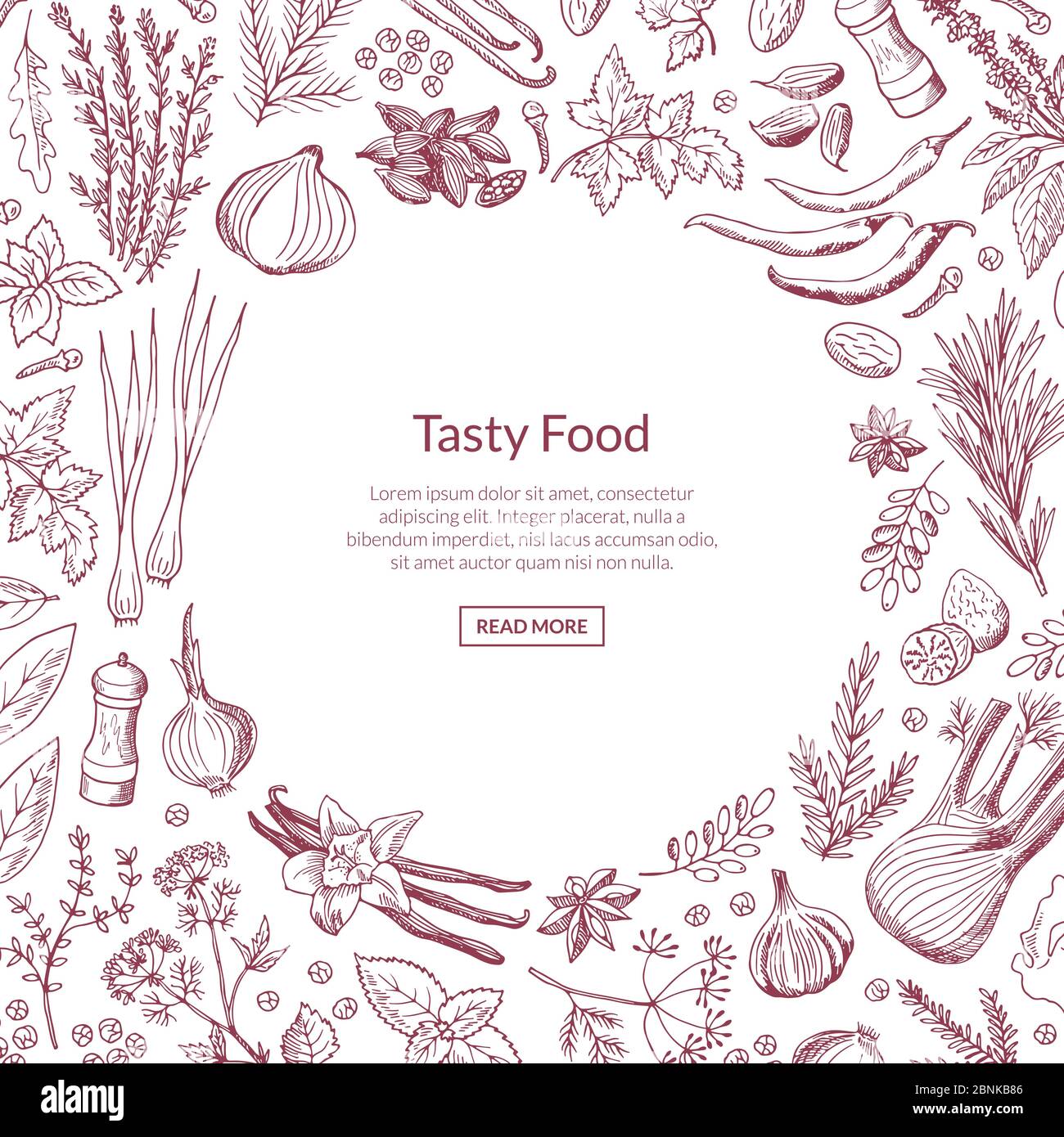 Fond vectoriel d'herbes et d'épices dessinées à la main avec place pour l'illustration du texte Illustration de Vecteur