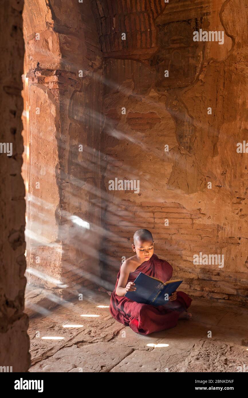 Les Monks bouddhistes en Birmanie ou en Birmanie Banque D'Images