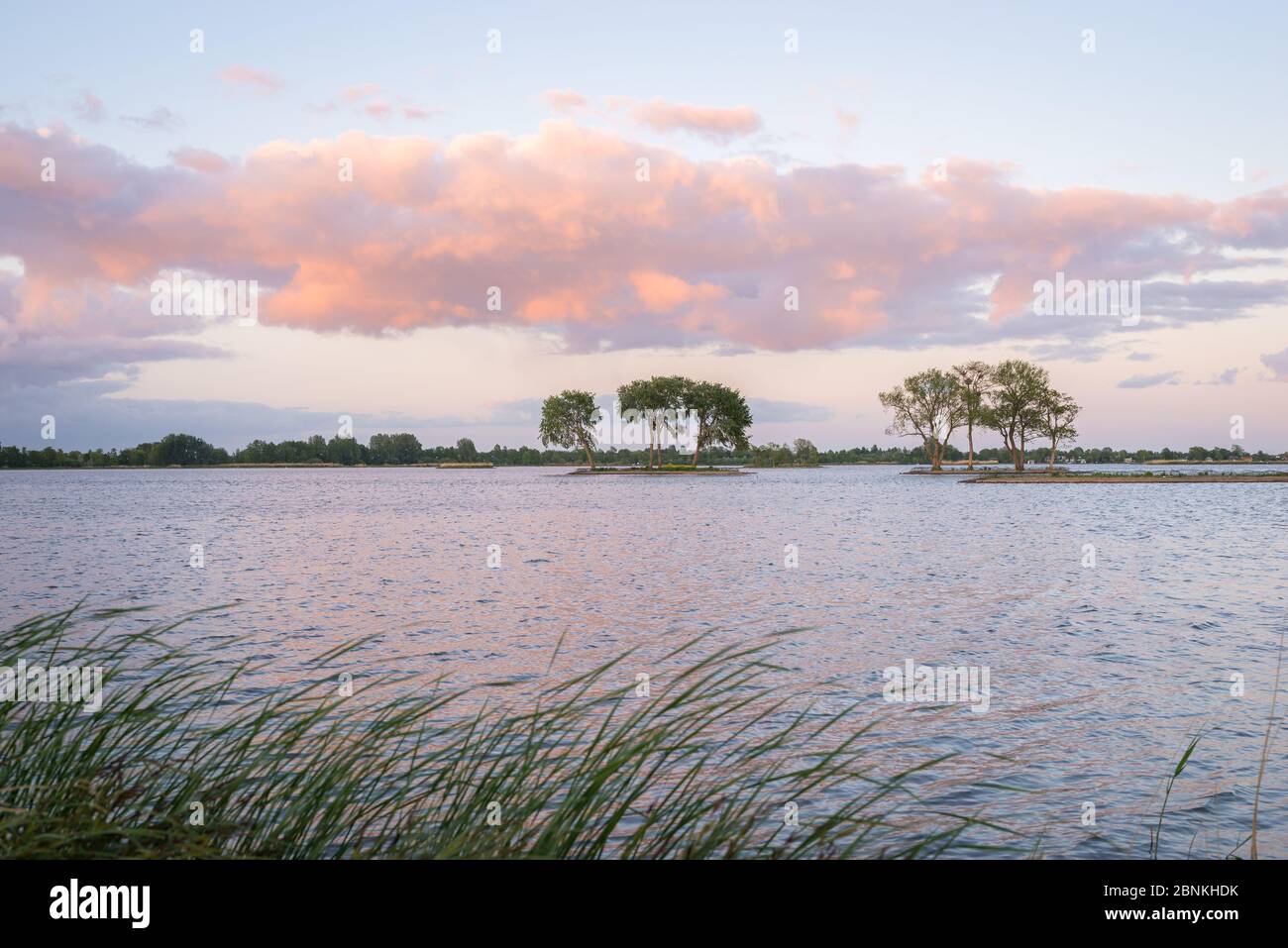 Magnifique paysage de nuages roses sur le lac 'Elfhoeven', une partie d'un lac appelé 'Reeuwijkse Plassen' dans la partie ouest des pays-Bas. Banque D'Images