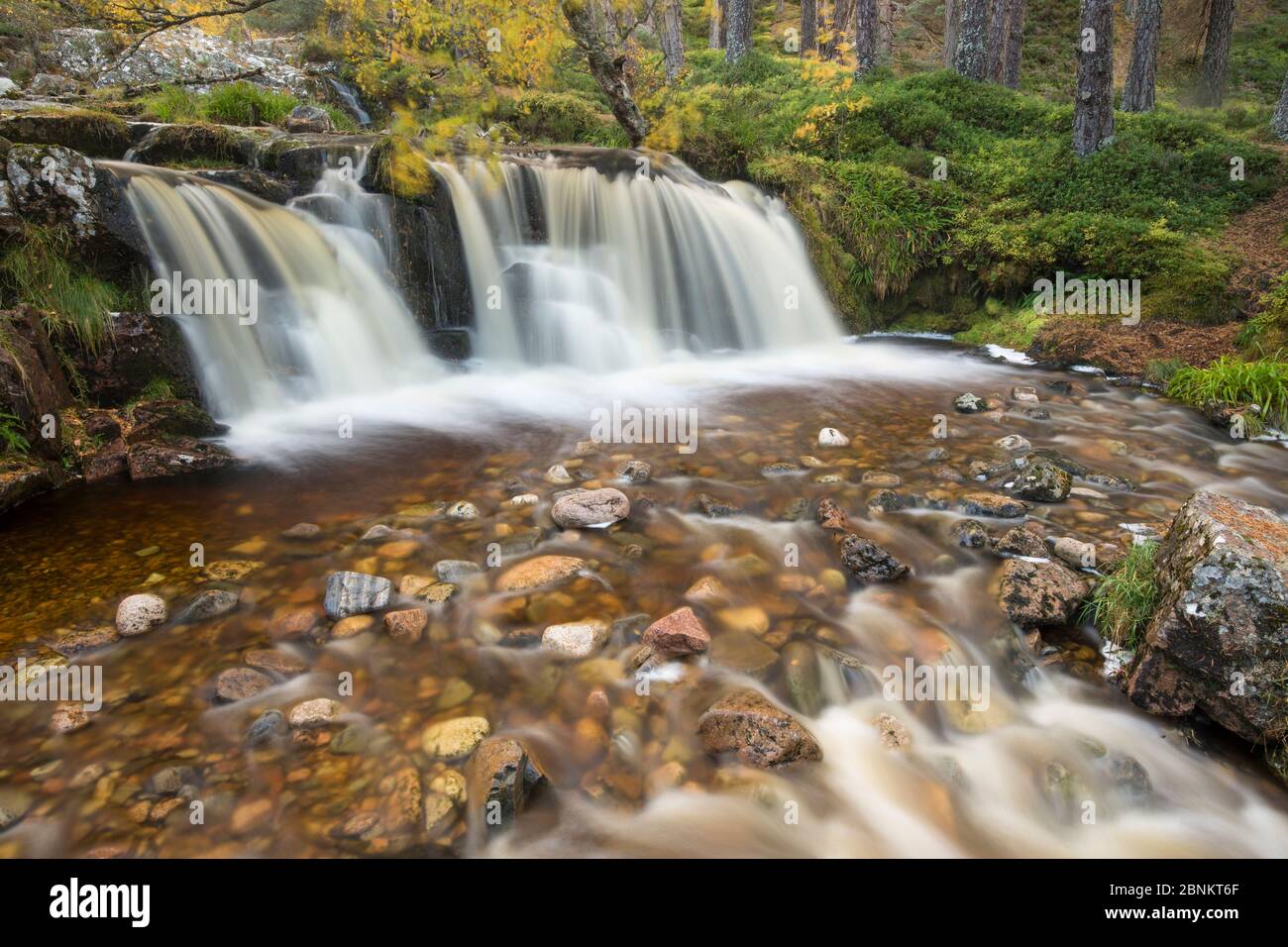 Cascade en automne, Glenfeshie, Parc National de Cairngorms, en Écosse, au Royaume-Uni, en octobre 2015. Banque D'Images