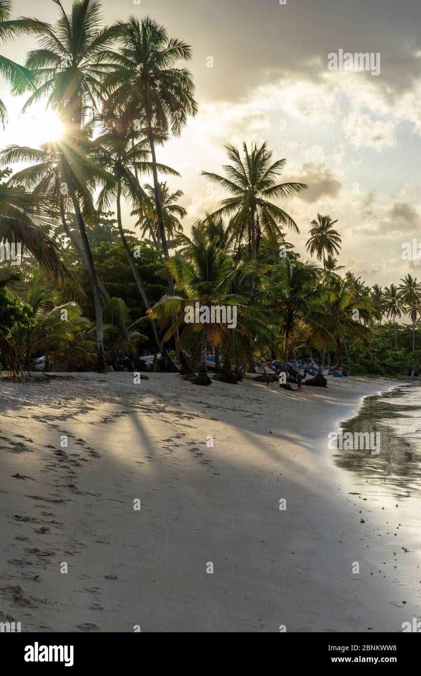 Caraïbes, grandes Antilles, République Dominicaine, Samaná, Las Galeras, coucher de soleil sur la plage Playa Grande à Las Galeras Banque D'Images