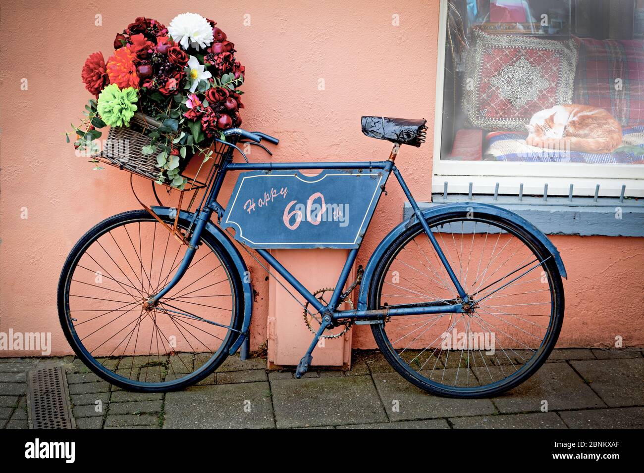 Carte D Anniversaire 60eme Velo A L Ancienne Avec Panier Avant Et Fleurs Contre Un Mur Rose Photo Stock Alamy