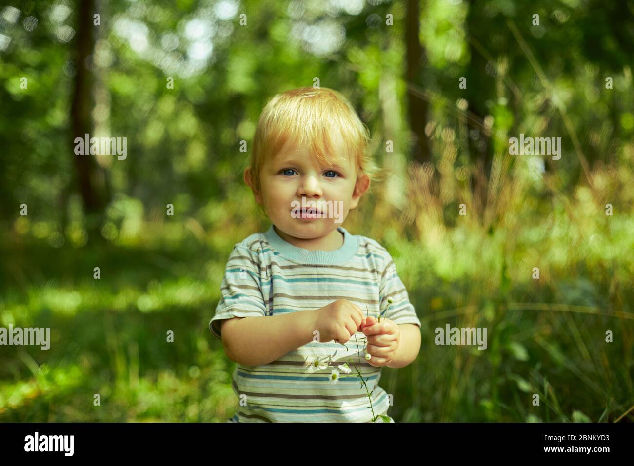 Portrait d'un adorable petit garçon dans un champ au milieu de l'herbe au coucher du soleil. Un enfant marche dans le parc. En plein air. Concept été et style de vie heureux. Enfant Banque D'Images