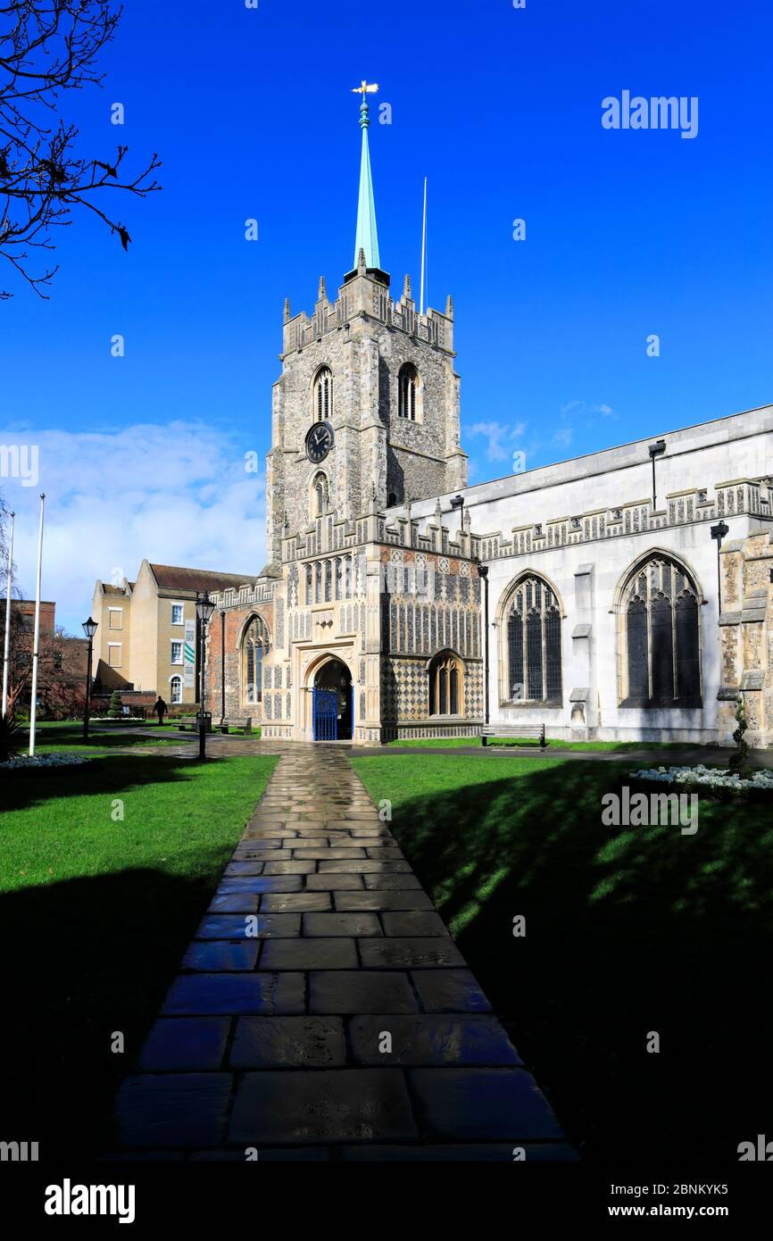 Vue printanière de la cathédrale de Chelmsford, Chelmsford City, comté d'Essex, Angleterre, Royaume-Uni Banque D'Images