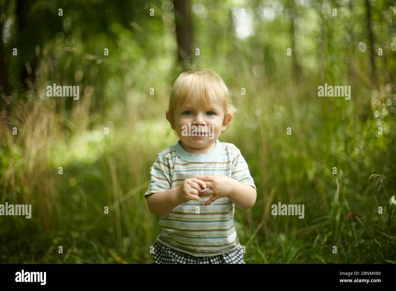 Portrait d'un adorable petit garçon dans un champ au milieu de l'herbe au coucher du soleil. Un enfant marche dans le parc. En plein air. Concept été et style de vie heureux. Enfant Banque D'Images