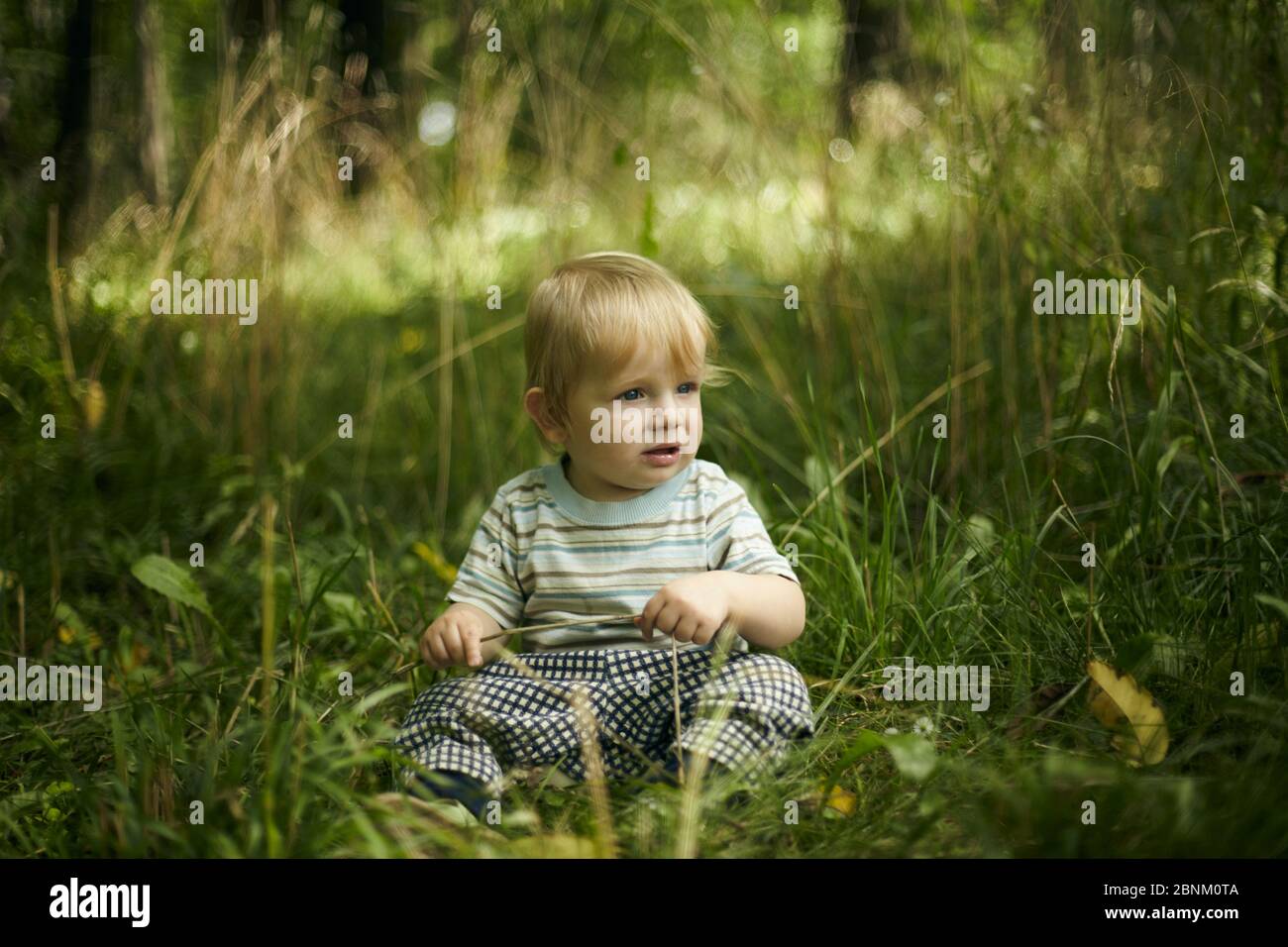 Portrait d'un adorable petit garçon dans un champ au milieu de l'herbe au coucher du soleil. Un enfant marche dans le parc. En plein air. Concept été et style de vie heureux. Enfant Banque D'Images