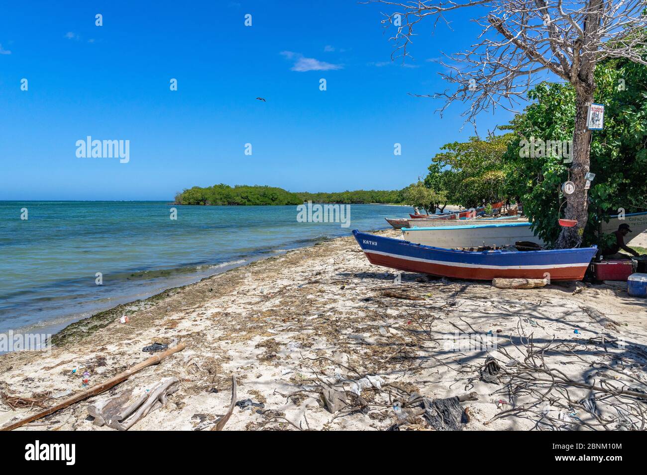 Amérique, Caraïbes, grandes Antilles, République Dominicaine, Barahona, scène de plage à Playa Luci Landia del sur Banque D'Images
