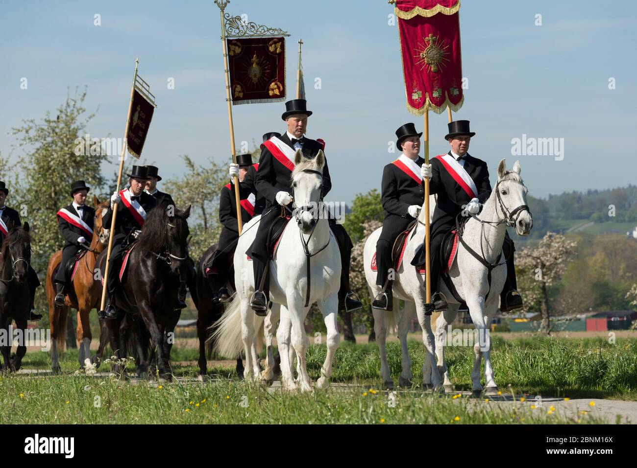 Les officiels du Blutritt (à droite du sang) la plus grande procession européenne avec environ 3,000 cavaliers, Weingarten, Baden-Wurtemberg, Allemagne. Mai 201 Banque D'Images