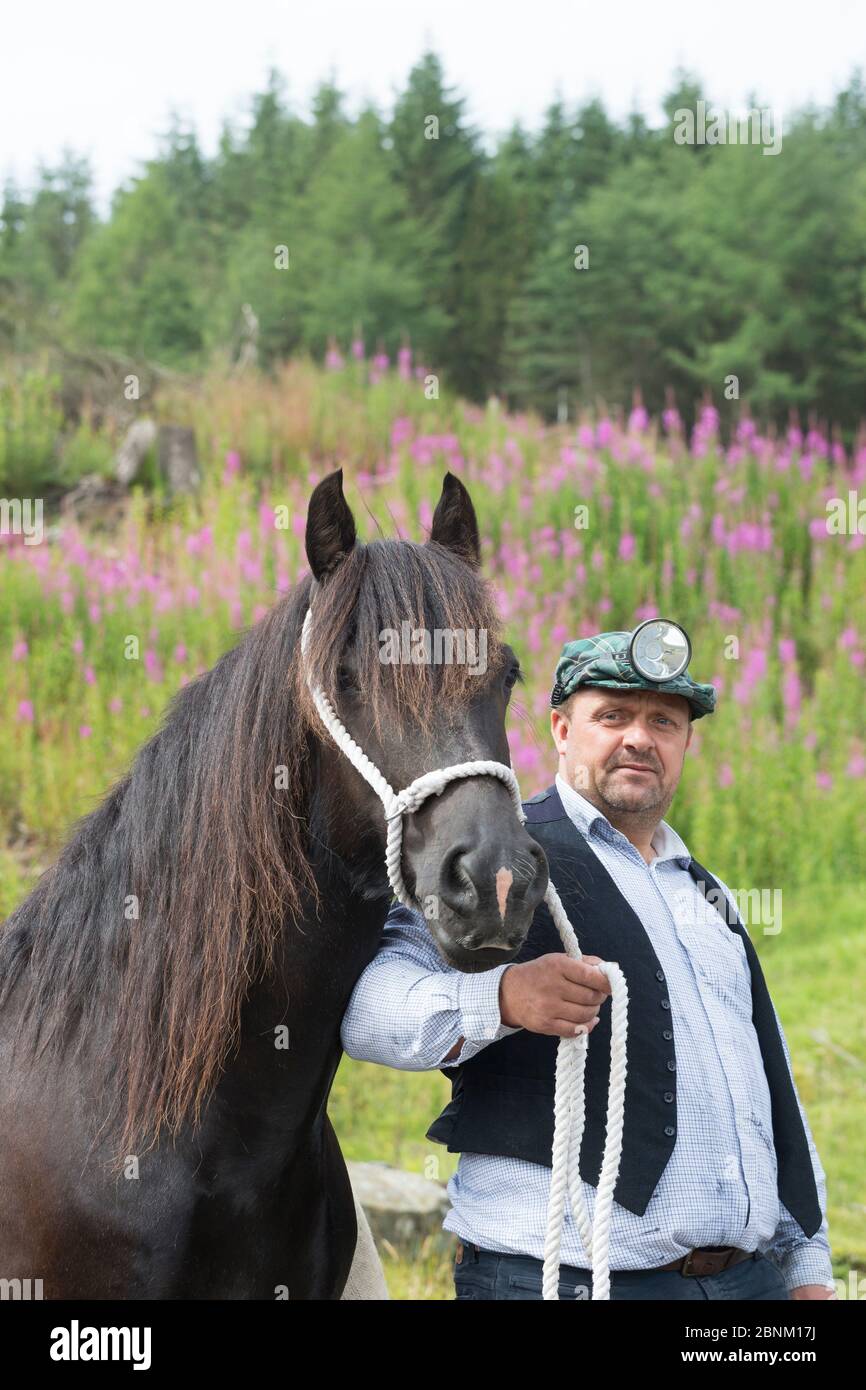 Un mineur de premier niveau et son poney Dales, au musée Killwhpe, près de Cowshill, Upper Weardale, comté de Durham, Angleterre, Royaume-Uni, août 2016. En danger critique d'extinction br Banque D'Images