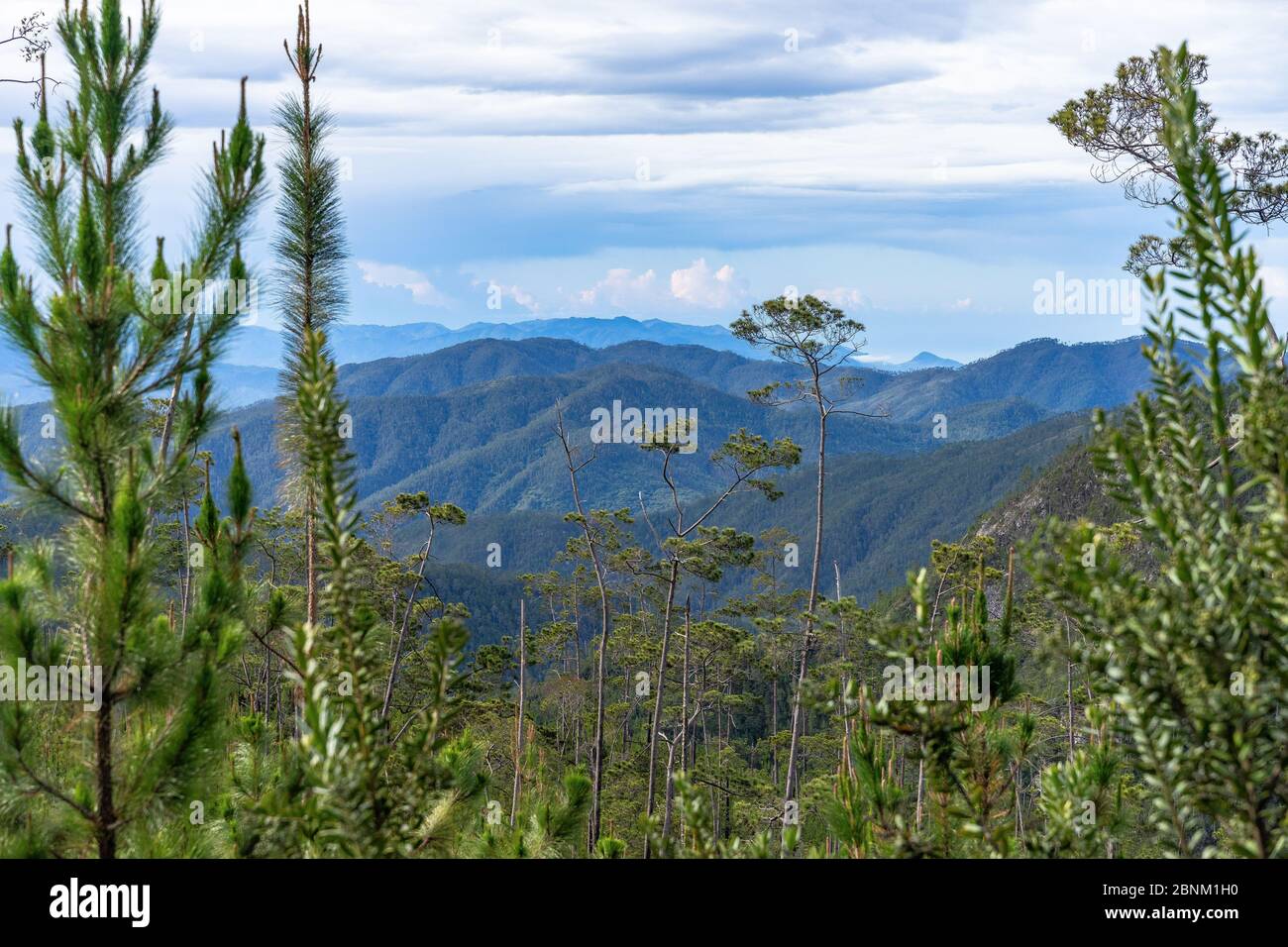 Amérique, Caraïbes, grandes Antilles, République dominicaine, Jarabacoa, Manabao, Parque Nacional José Armando Bermúdez, Pico Duarte, vue sur les montagnes verdoyantes du parc national José A. Bermúdez Banque D'Images