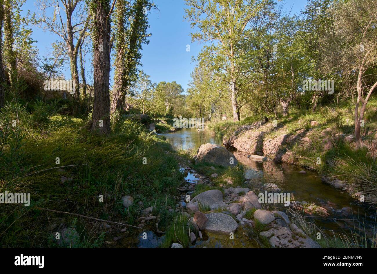 Rivière tranquille le matin d'un printemps. Couleurs de la nature Banque D'Images