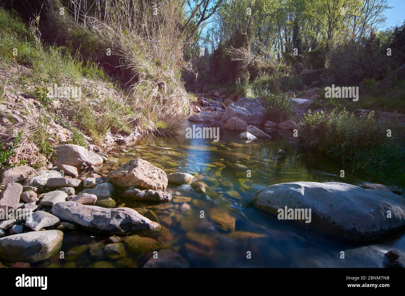 Rivière tranquille le matin d'un printemps. Couleurs de la nature Banque D'Images