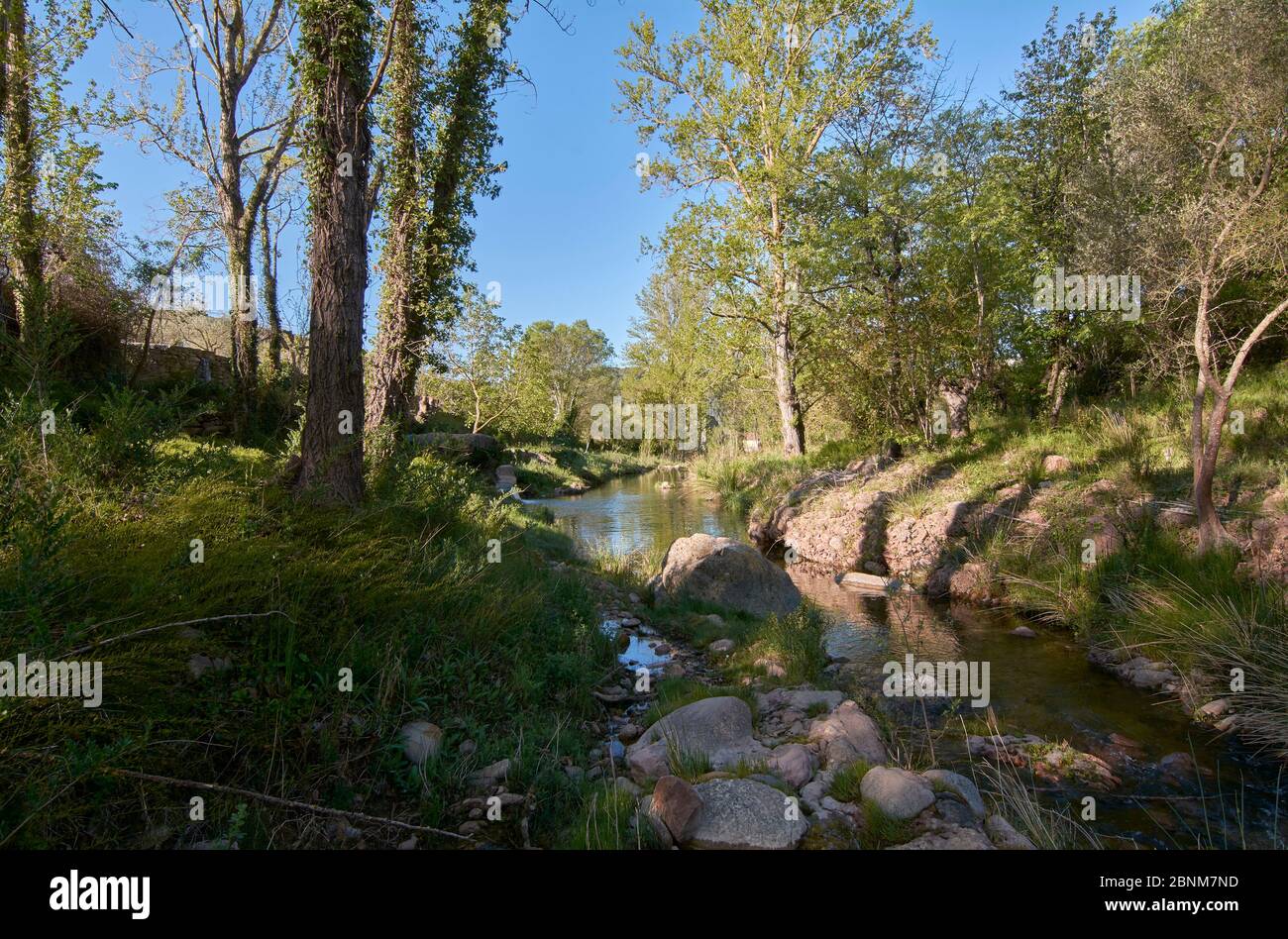Rivière tranquille le matin d'un printemps. Couleurs de la nature Banque D'Images