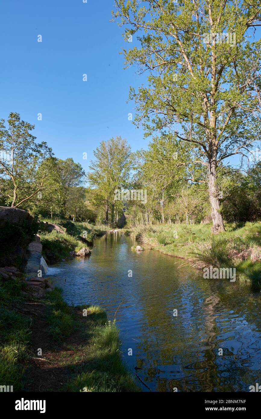 Rivière tranquille le matin d'un printemps. Couleurs de la nature Banque D'Images