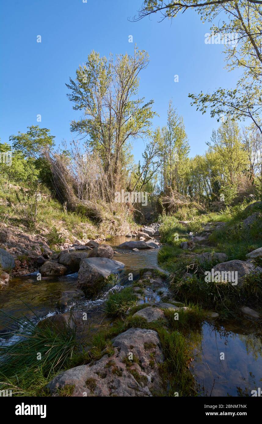 Rivière tranquille le matin d'un printemps. Couleurs de la nature Banque D'Images