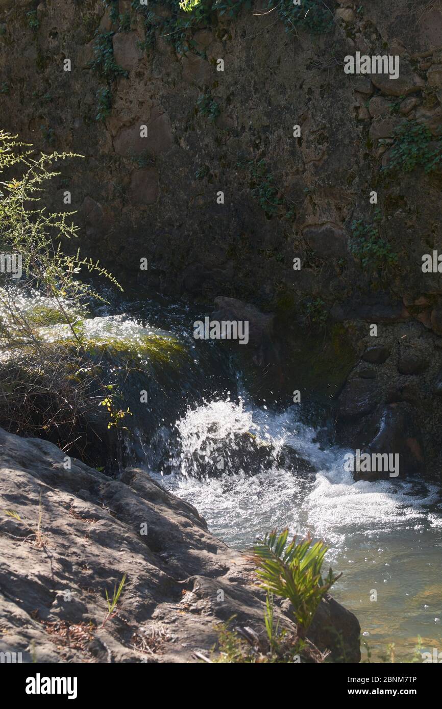 Chute d'eau le matin d'un printemps brillant. Couleurs de la nature Banque D'Images