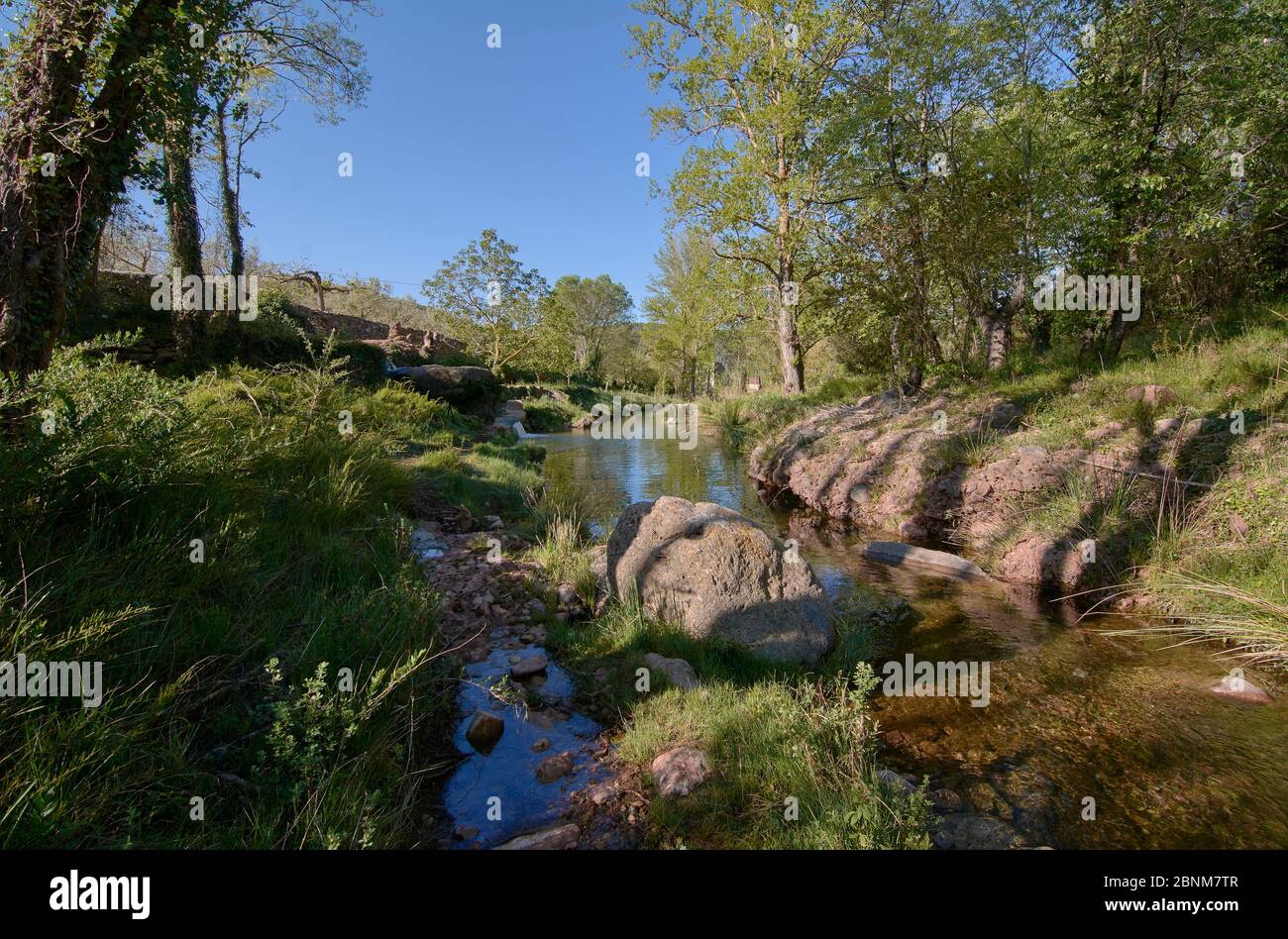 Rivière tranquille le matin d'un printemps. Couleurs de la nature Banque D'Images