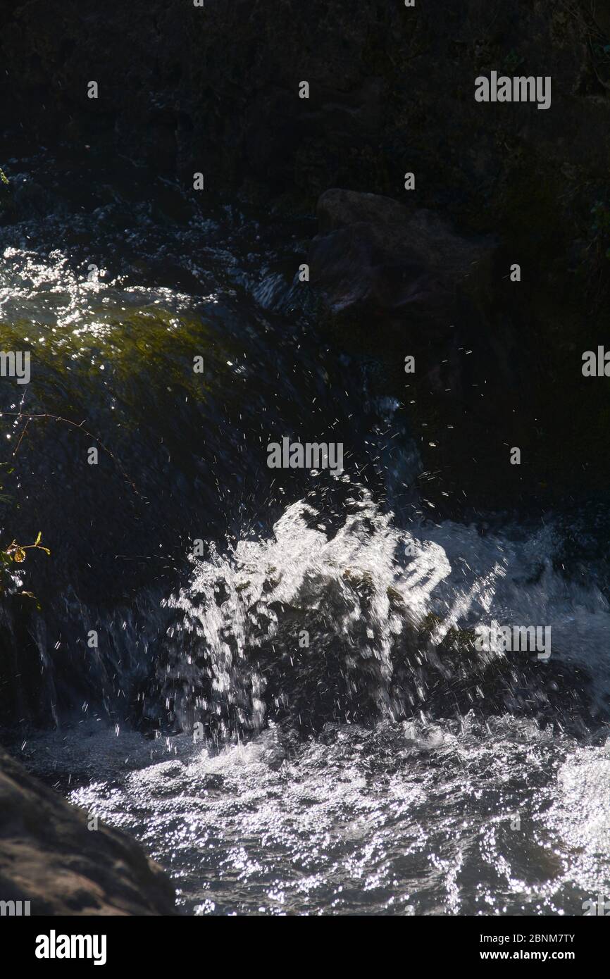 Chute d'eau le matin d'un printemps brillant. Couleurs de la nature Banque D'Images