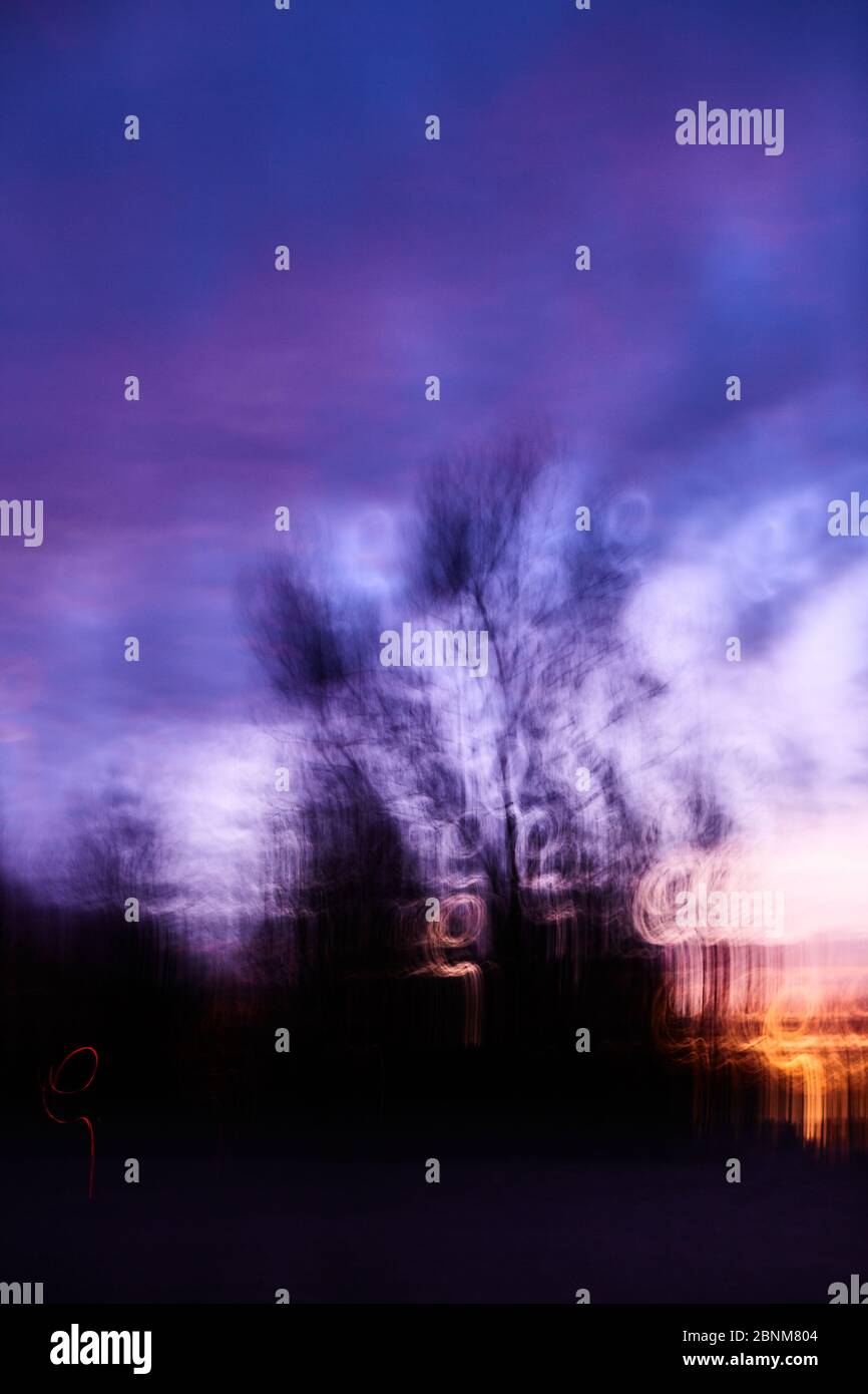 Arbres, ciel coloré, humeur nuageuse, Banque D'Images