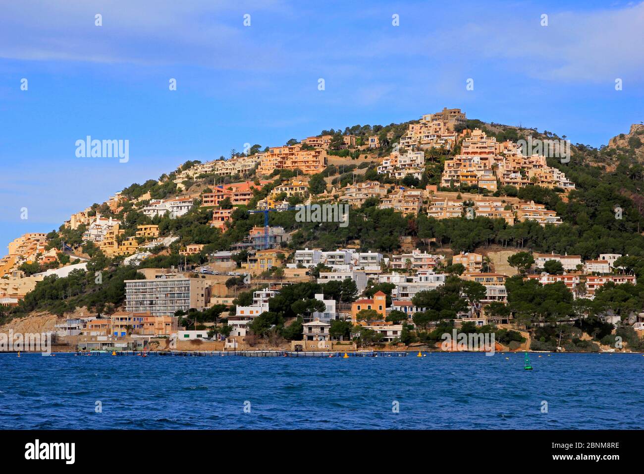 Port Andratx, Majorque, Îles Baléares, Espagne Banque D'Images
